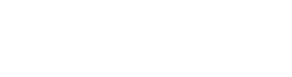 Aalborg University